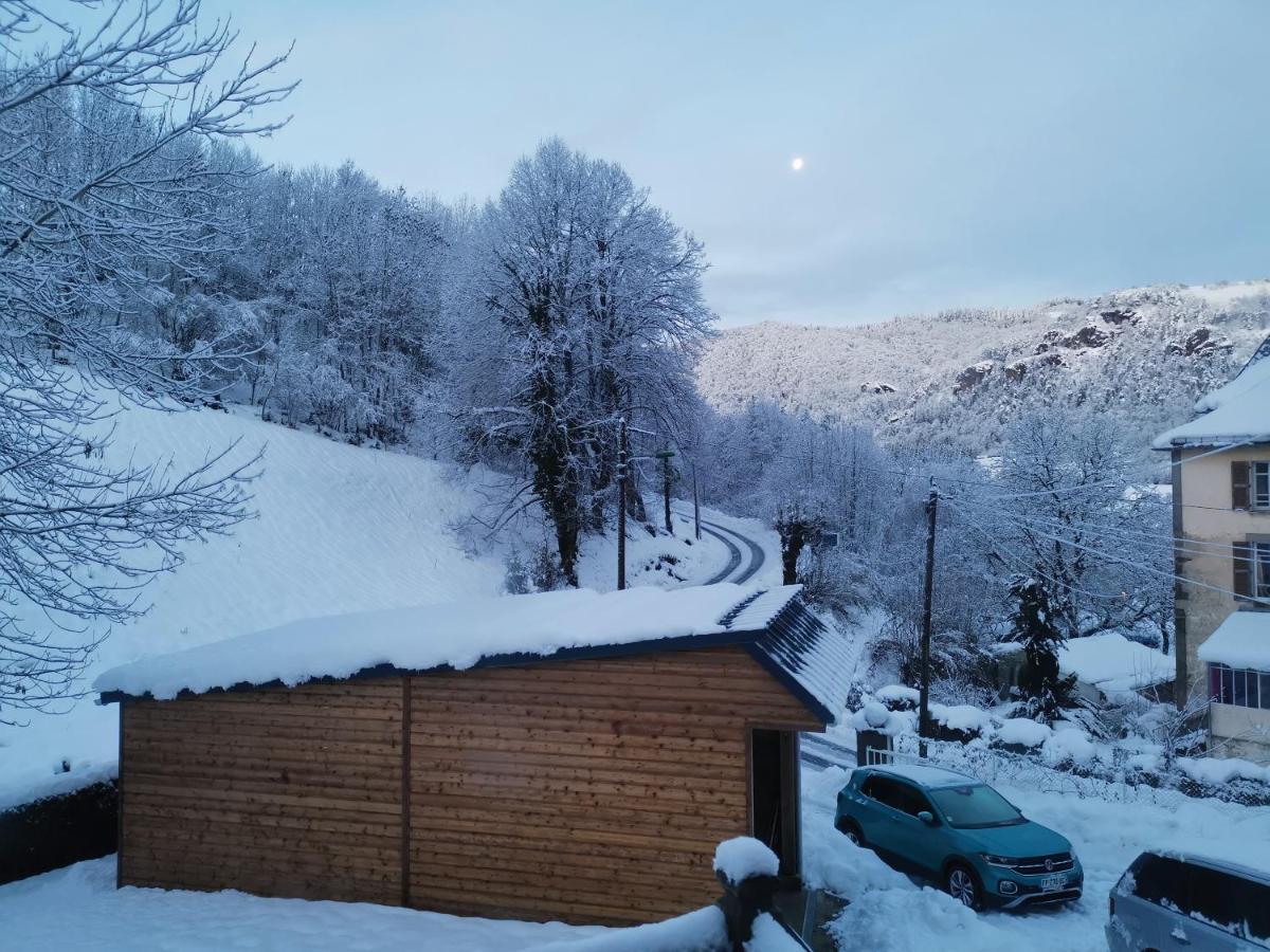 Maison D'Hote, Gite, La Maisonnette Vic-sur-Cère Exterior foto